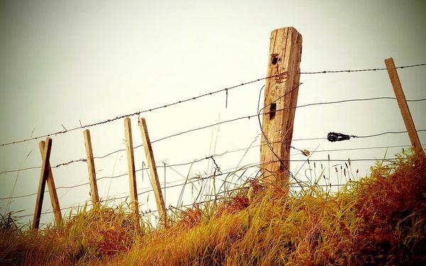 公司新闻 悟空体育